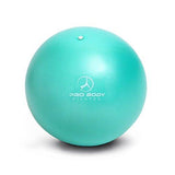 Mini Exercise Ball - 9 Inch Small Bender Ball for Stability, Barre, Pilates, Yoga, Core Training and Physical Therapy