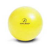 Mini Exercise Ball - 9 Inch Small Bender Ball for Stability, Barre, Pilates, Yoga, Core Training and Physical Therapy