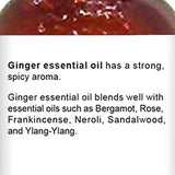 Majestic Pure Ginger Root Essential Oil, Pure and Natural with Therapeutic Grade, Premium Quality Ginger Root Oil, 4 fl. oz.