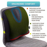 Back Support for Office Chair - Memory Foam Lumbar Pillow - Perfect Cushion for Wheelchair, Car, Computer and Desk Seat