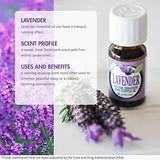 Lavender Essential Oil - 100% Pure Therapeutic Grade Lavender Oil - 10ml