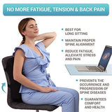 Back Support for Office Chair - Memory Foam Lumbar Pillow - Perfect Cushion for Wheelchair, Car, Computer and Desk Seat