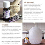 Lavender Essential Oil - 100% Pure Therapeutic Grade Lavender Oil - 10ml