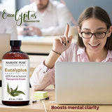 Majestic Pure Eucalyptus Essential Oil, Pure and Natural with Therapeutic Grade, Premium Quality Eucalyptus Oil, 4 Ounces