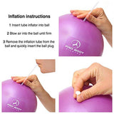 Mini Exercise Ball - 9 Inch Small Bender Ball for Stability, Barre, Pilates, Yoga, Core Training and Physical Therapy