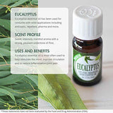 Eucalyptus Essential Oil - 100% Pure Therapeutic Grade Eucalyptus Oil - 10ml