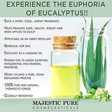 Majestic Pure Eucalyptus Essential Oil, Pure and Natural with Therapeutic Grade, Premium Quality Eucalyptus Oil, 4 Ounces