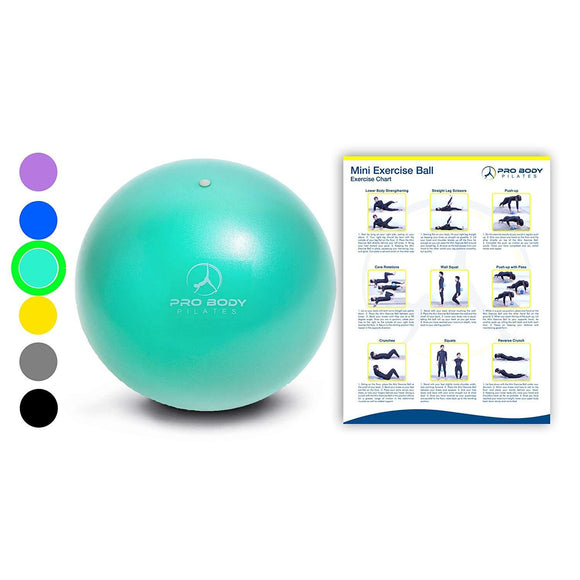 Mini Exercise Ball - 9 Inch Small Bender Ball for Stability, Barre, Pilates, Yoga, Core Training and Physical Therapy